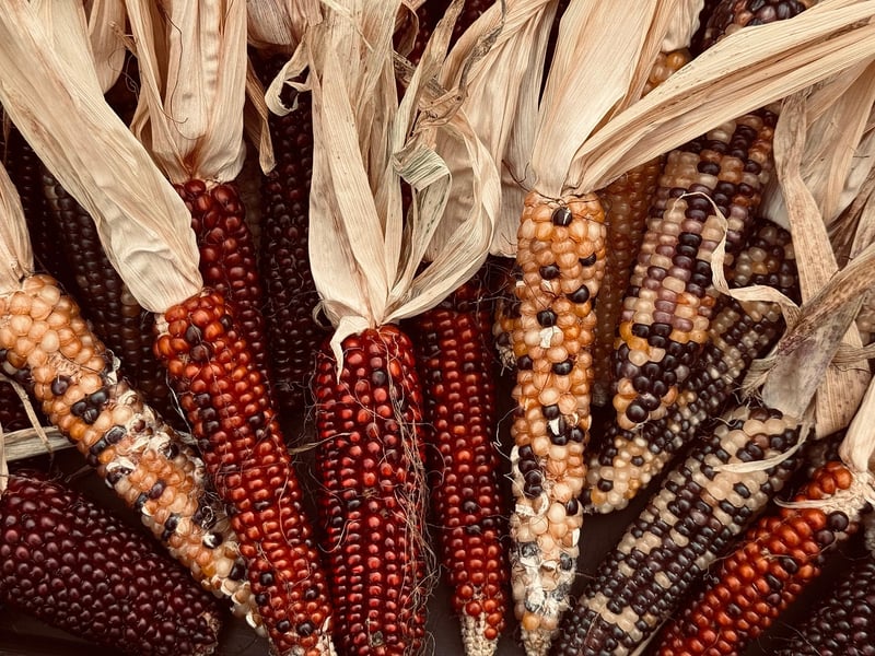 Seasonal Vegetables